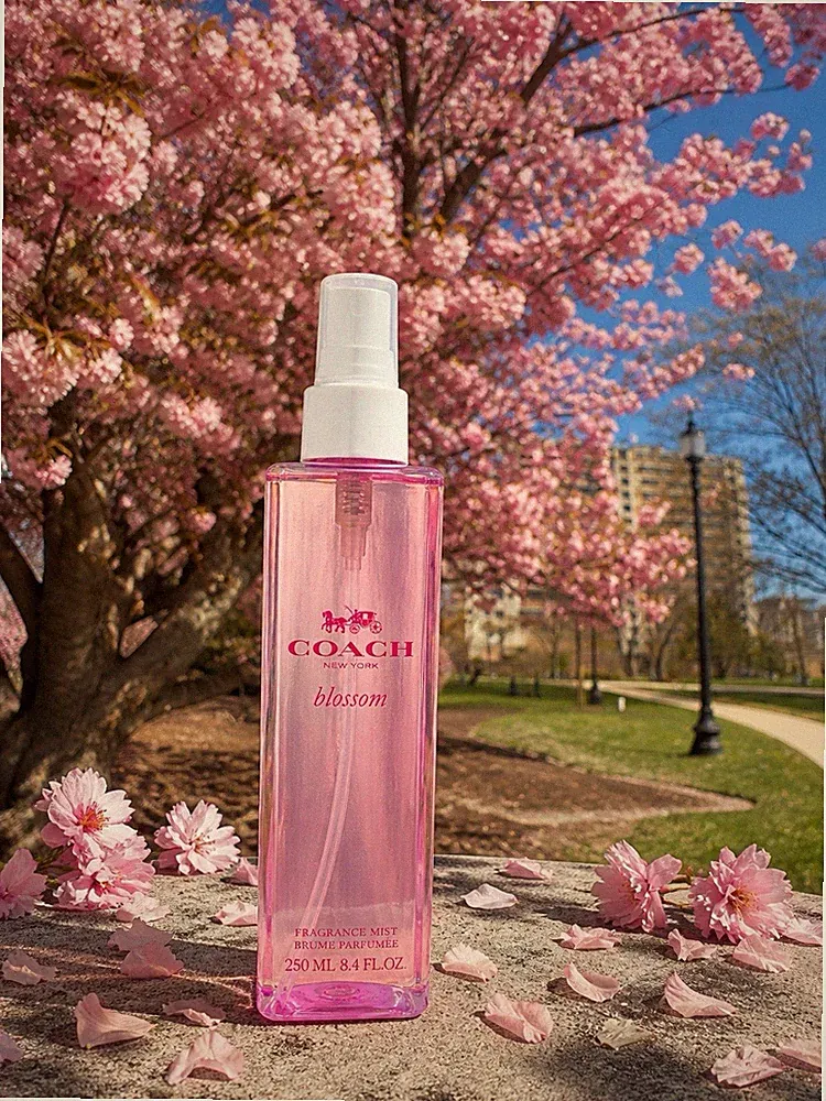 COACH BLOSSOM FRAGRANCE MIST 8.4 FL OZ HTF Popular Scent