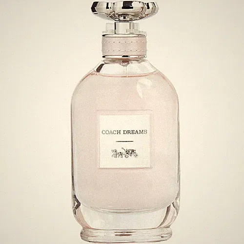 Coach Dreams by Coach 3 oz EDP Perfume for Women Brand New Tester